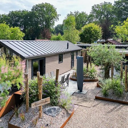 Modern Ingericht Chalet Op Groen Park Op De Veluwe Epe Eksteriør bilde