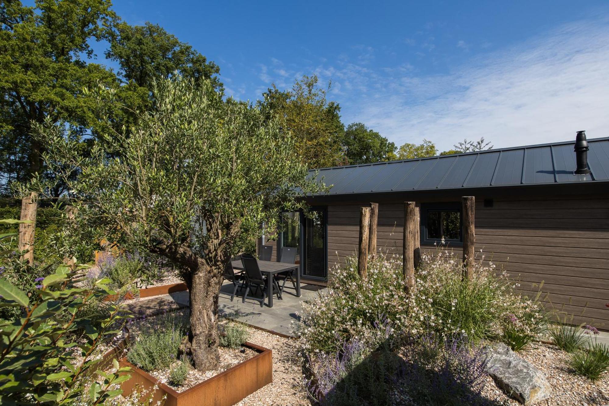 Modern Ingericht Chalet Op Groen Park Op De Veluwe Epe Eksteriør bilde