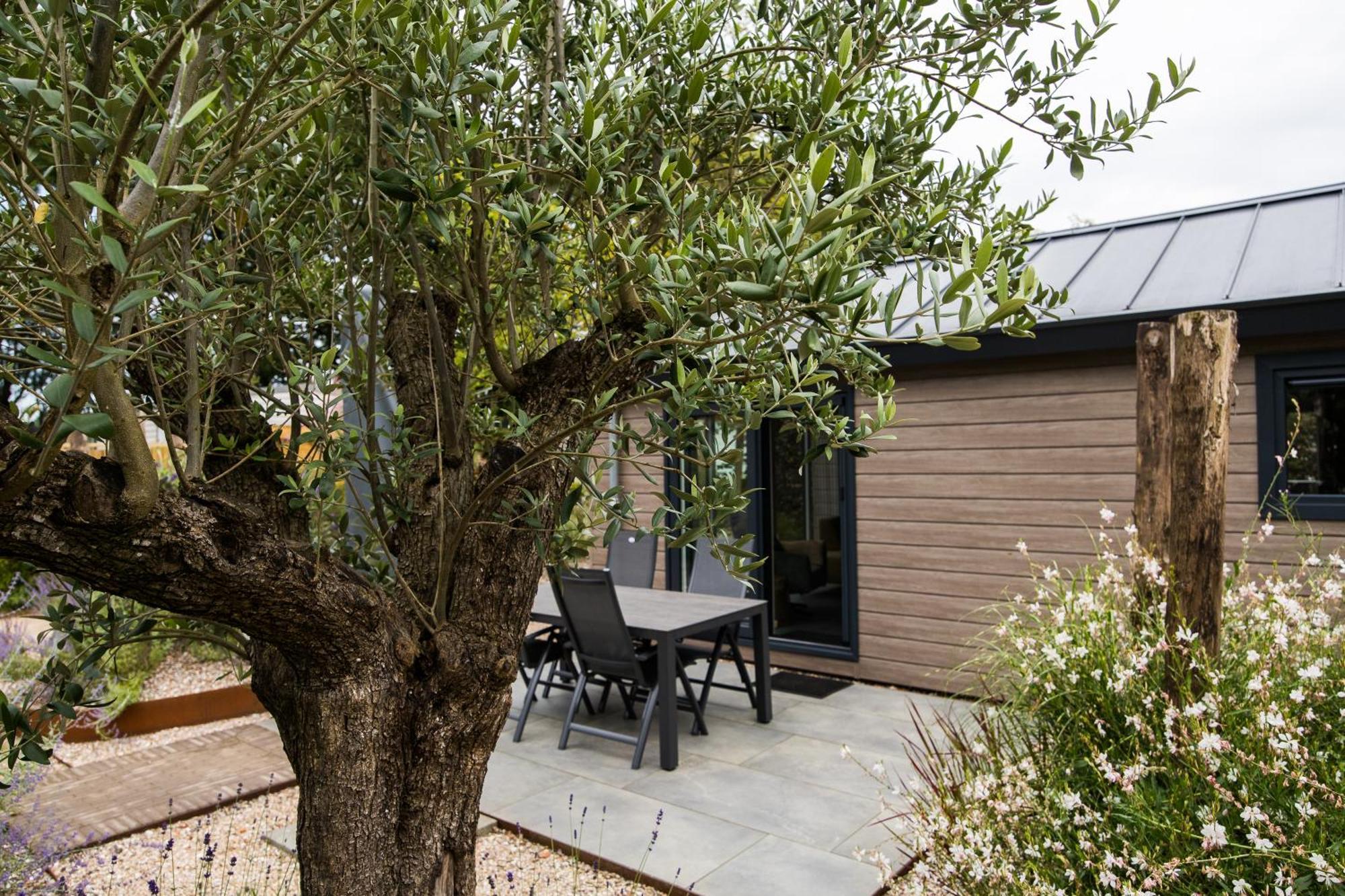 Modern Ingericht Chalet Op Groen Park Op De Veluwe Epe Eksteriør bilde