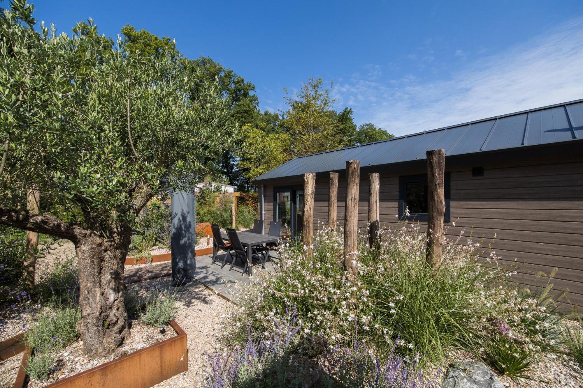 Modern Ingericht Chalet Op Groen Park Op De Veluwe Epe Eksteriør bilde