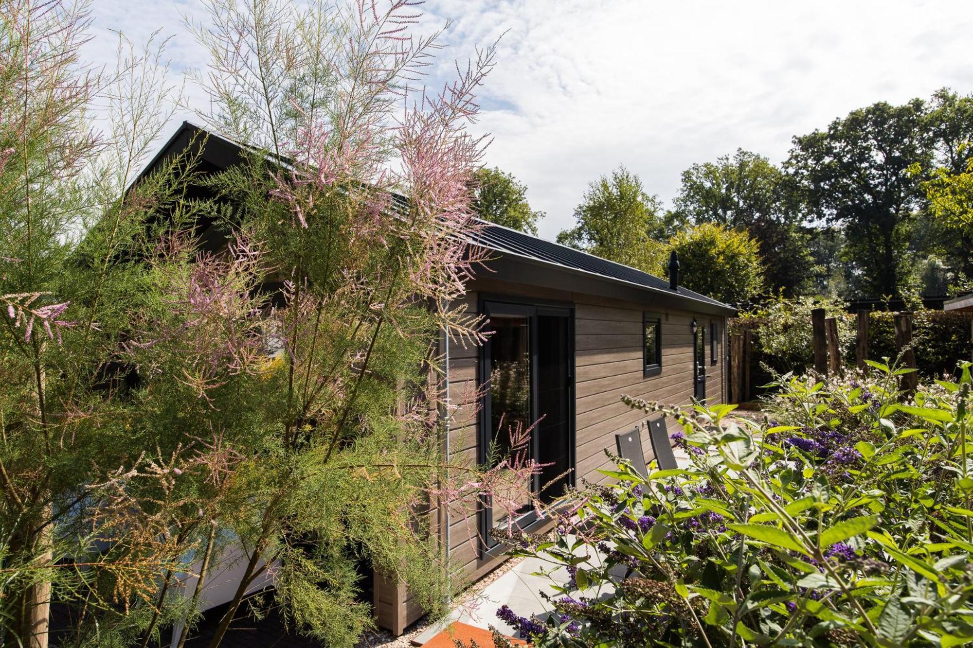Modern Ingericht Chalet Op Groen Park Op De Veluwe Epe Eksteriør bilde