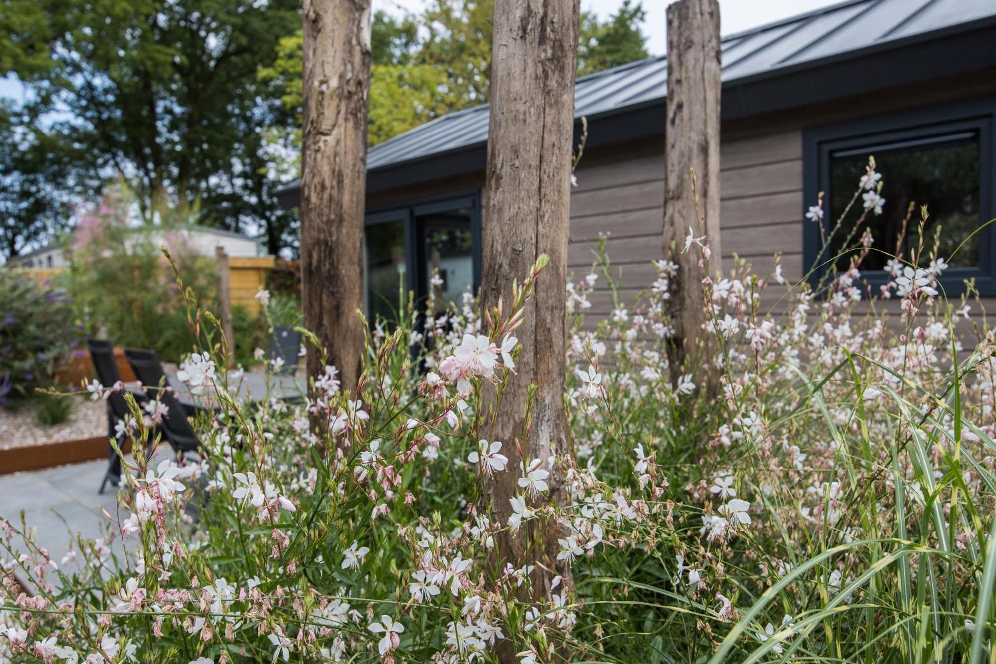 Modern Ingericht Chalet Op Groen Park Op De Veluwe Epe Eksteriør bilde